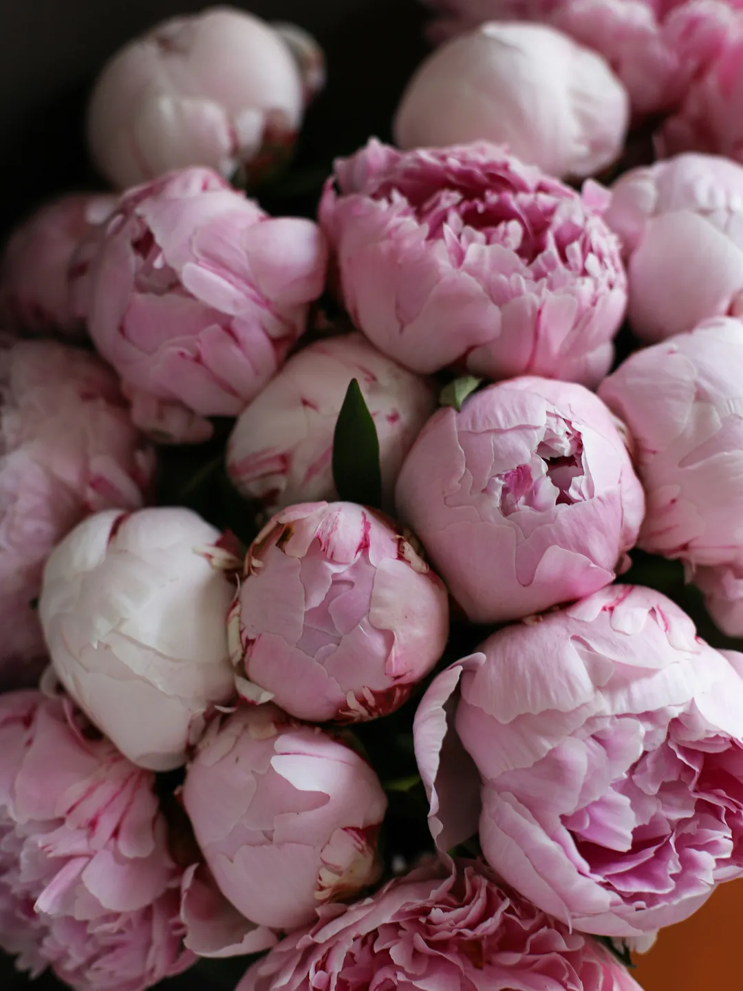 Bouquet di peonie rosa e bianche